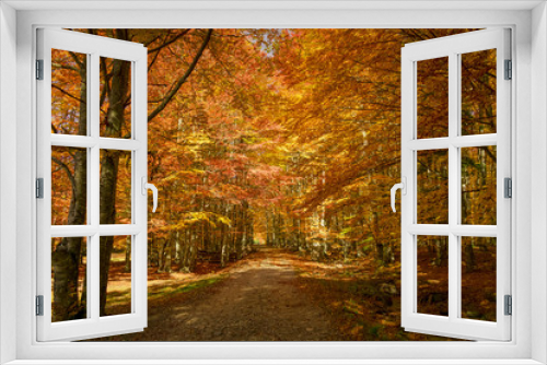 Fototapeta Naklejka Na Ścianę Okno 3D - Autumn trees pattern.