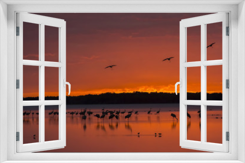 Fototapeta Naklejka Na Ścianę Okno 3D - Arriving at sunset