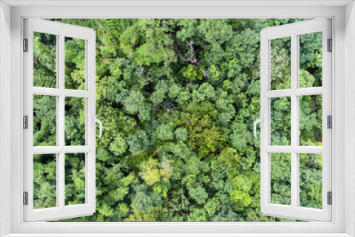Fototapeta Naklejka Na Ścianę Okno 3D - Aerial view of the forest.Thailand
