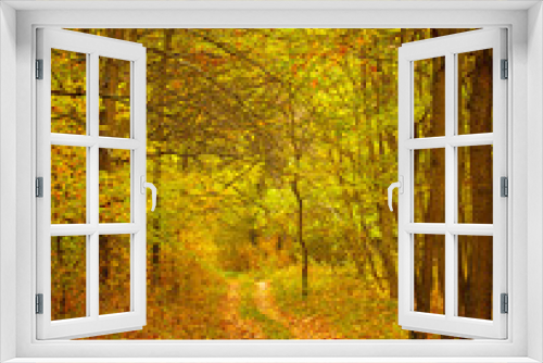 Fototapeta Naklejka Na Ścianę Okno 3D - Colorful autumnal scene in the forest