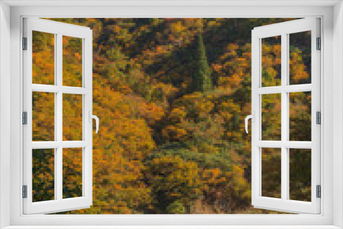 Fototapeta Naklejka Na Ścianę Okno 3D - 秋の清津川の風景