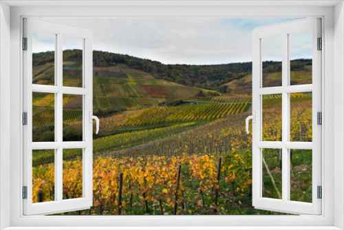 Fototapeta Naklejka Na Ścianę Okno 3D - Auf dem Rotweinwanderweg im Ahrtal im Herbst