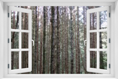 Fototapeta Naklejka Na Ścianę Okno 3D - Forest