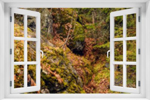 Fototapeta Naklejka Na Ścianę Okno 3D - Covered with moss rocks and tree at magical forest.