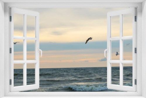 Fototapeta Naklejka Na Ścianę Okno 3D - Birds sea