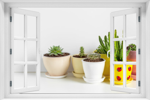 Fototapeta Naklejka Na Ścianę Okno 3D - Small succulent plants in pots in home interior