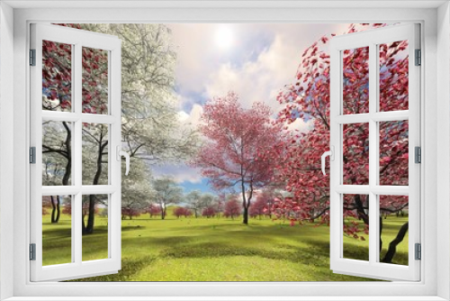 Fototapeta Naklejka Na Ścianę Okno 3D - Flowering dogwood trees in orchard in spring time 3d rendering