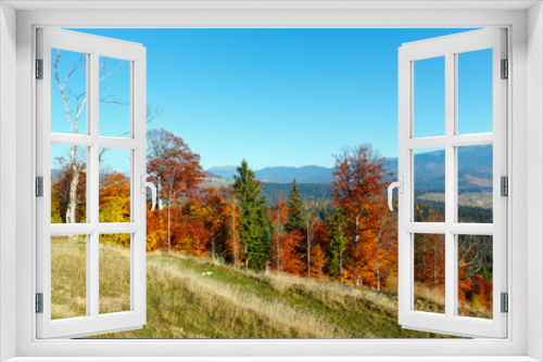 Fototapeta Naklejka Na Ścianę Okno 3D - Morning autumn Carpathians landscape.