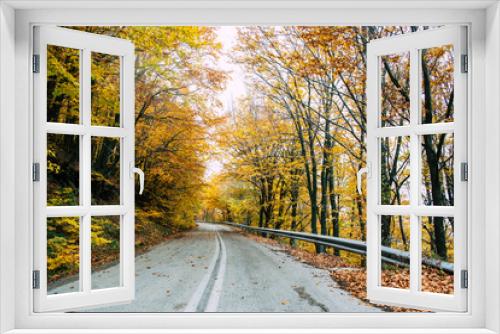 Fototapeta Naklejka Na Ścianę Okno 3D - Road in the yellow autumn forest, nature landscape