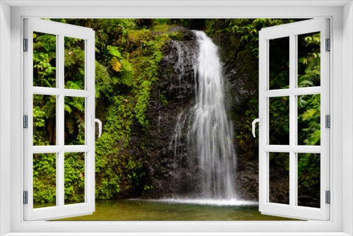 Fototapeta Naklejka Na Ścianę Okno 3D - Wasserfall im Regenwald