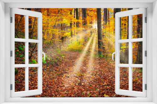 Fototapeta Naklejka Na Ścianę Okno 3D - Wald im Herbst mit Sonnenstrahlen
