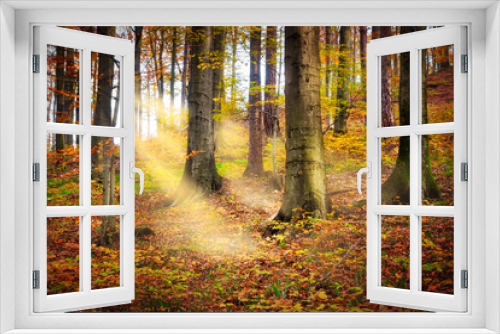 Fototapeta Naklejka Na Ścianę Okno 3D - Wald im Herbst mit Sonnenstrahlen