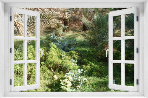 Fototapeta Naklejka Na Ścianę Okno 3D - Marokko