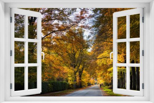 Fototapeta Naklejka Na Ścianę Okno 3D - Wonderful autumn colors 