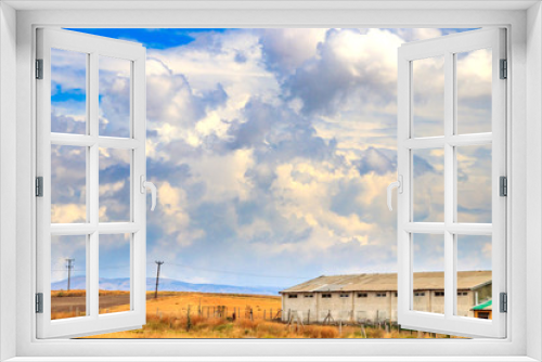 Fototapeta Naklejka Na Ścianę Okno 3D - Wheat field and cloud sky