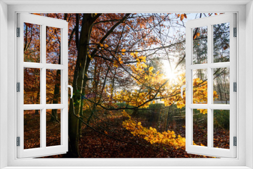 Fototapeta Naklejka Na Ścianę Okno 3D - Beauty of Autumn :)