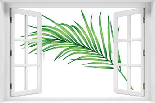 Fototapeta Naklejka Na Ścianę Okno 3D - Watercolor painting coconut, palm leaf,green leave isolated on white background.Watercolor hand painted illustration tropical exotic leaf for wallpaper vintage Hawaii style pattern.With clipping path