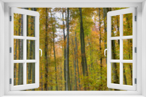 Fototapeta Naklejka Na Ścianę Okno 3D - Bunter Laubwald im Herbst
