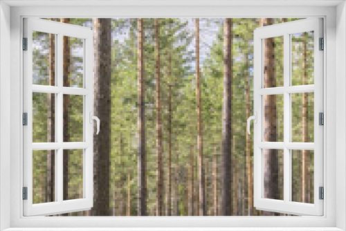Fototapeta Naklejka Na Ścianę Okno 3D - Forêt suédoise
