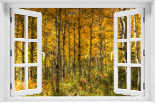 Fototapeta Naklejka Na Ścianę Okno 3D - Aspen colors