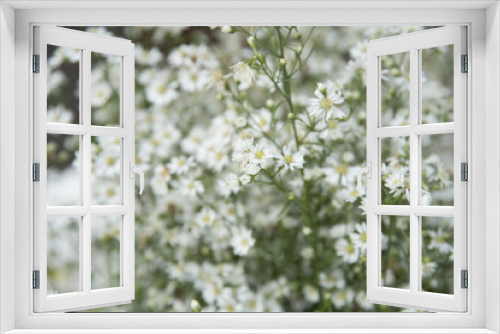 Fototapeta Naklejka Na Ścianę Okno 3D - Flower nature as natural background