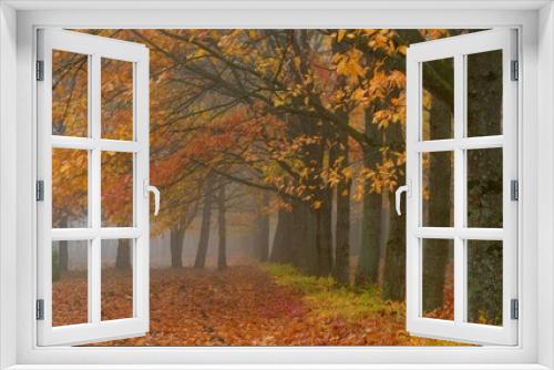 Fototapeta Naklejka Na Ścianę Okno 3D - Garden in fall