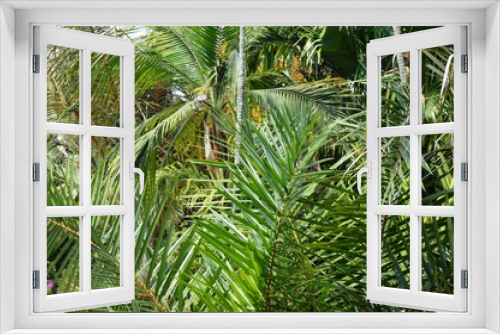 Fototapeta Naklejka Na Ścianę Okno 3D - Tropical Rain Forest