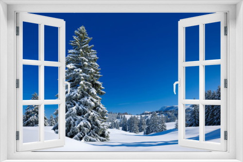 Fototapeta Naklejka Na Ścianę Okno 3D - Winter Landscape, Spruce Tree Forest Covered by Snow, Allgäu, Bavaria, Germany