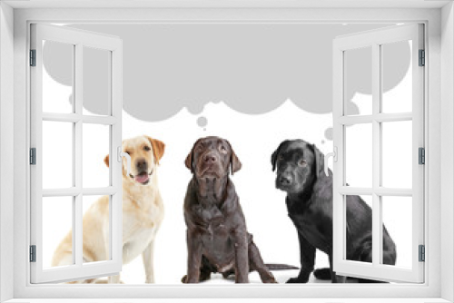 Fototapeta Naklejka Na Ścianę Okno 3D - Cute Labrador Retriever dogs and space for text on white background