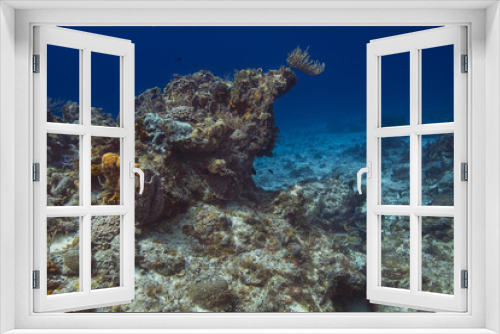 Fototapeta Naklejka Na Ścianę Okno 3D - Carribean coral reef