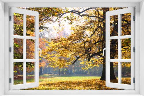 Fototapeta Naklejka Na Ścianę Okno 3D - Autumn in The Park