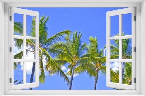 Fototapeta Naklejka Na Ścianę Okno 3D - Sous les cocotiers - Ile de La Réunion