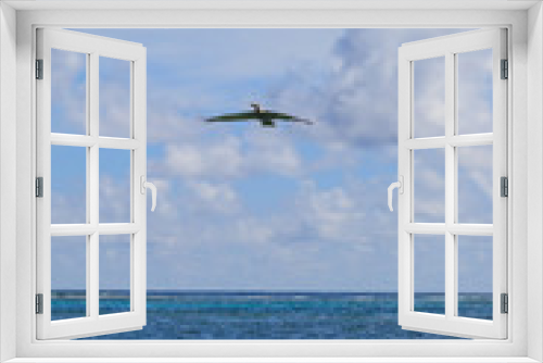 Fototapeta Naklejka Na Ścianę Okno 3D - A Pelican in flight over the sea