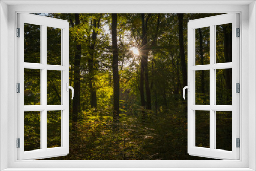 Fototapeta Naklejka Na Ścianę Okno 3D - Felsenmeer in Hemer im Herbst