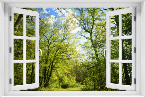 Fototapeta Naklejka Na Ścianę Okno 3D - Landschaft 524