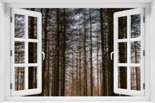 Fototapeta Naklejka Na Ścianę Okno 3D - Waldweg im Harz