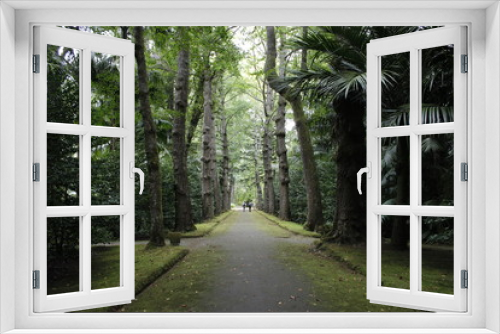 Fototapeta Naklejka Na Ścianę Okno 3D - Parque Terra Nostra, Açores