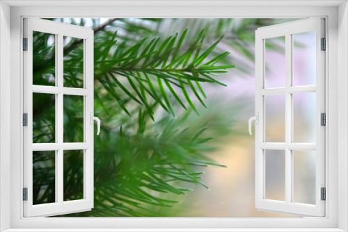 Fototapeta Naklejka Na Ścianę Okno 3D - Evergreen tree branches closeup.Christmas tree frame