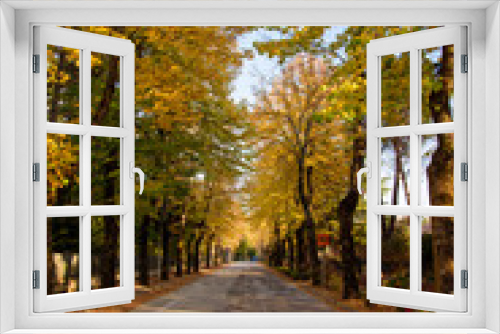 Fototapeta Naklejka Na Ścianę Okno 3D - The Way To Autumn
