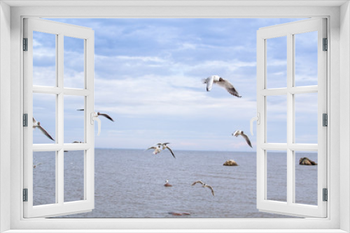 Fototapeta Naklejka Na Ścianę Okno 3D - a lot of seagulls over the sea