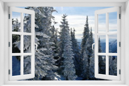 Fototapeta Naklejka Na Ścianę Okno 3D - Winter sunlight