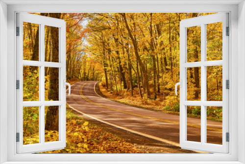 Fototapeta Naklejka Na Ścianę Okno 3D - Fall Road in Michigan All Yellow Trees
