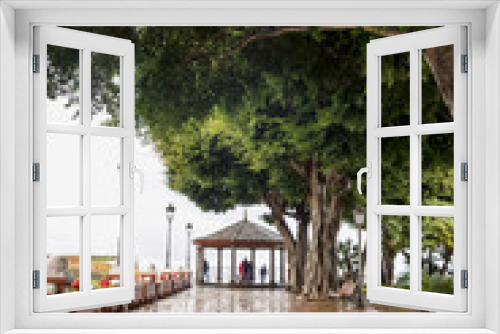 Fototapeta Naklejka Na Ścianę Okno 3D - Parque de Icod de los Vinos, vista al Dragó Milenario