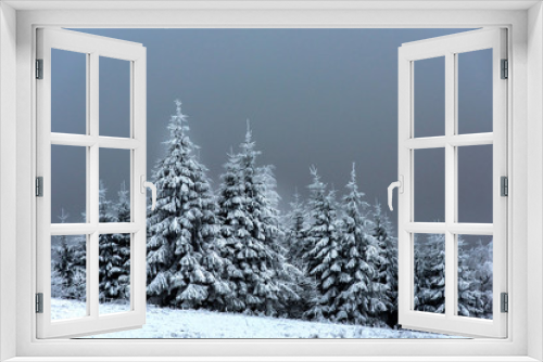 Fototapeta Naklejka Na Ścianę Okno 3D - Winter landscape with snowy fir trees and forest. Christmas