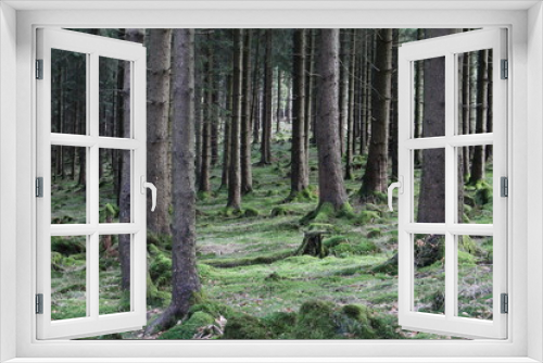Fototapeta Naklejka Na Ścianę Okno 3D - Waldlandschaft