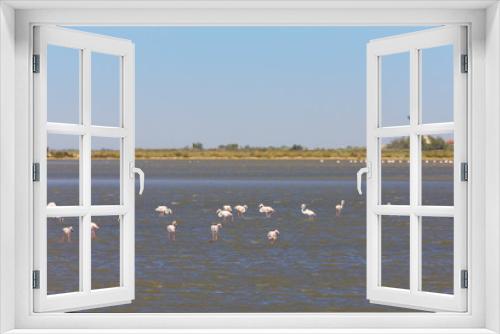 Fototapeta Naklejka Na Ścianę Okno 3D - flamingos, Parc Regional de Camargue, Provence, France