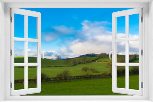 Fototapeta Naklejka Na Ścianę Okno 3D - Green field and blue sky