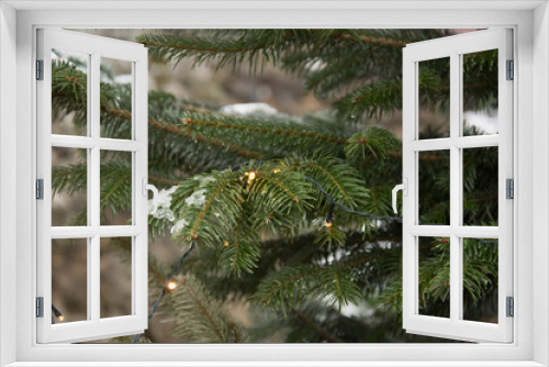 Fototapeta Naklejka Na Ścianę Okno 3D - Christmas tree outside