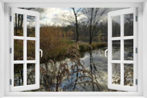 Fototapeta Naklejka Na Ścianę Okno 3D - uferbepflanzung