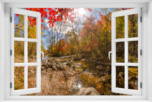 Fototapeta Naklejka Na Ścianę Okno 3D - Золотая осень в тайге, Mellow autumn
